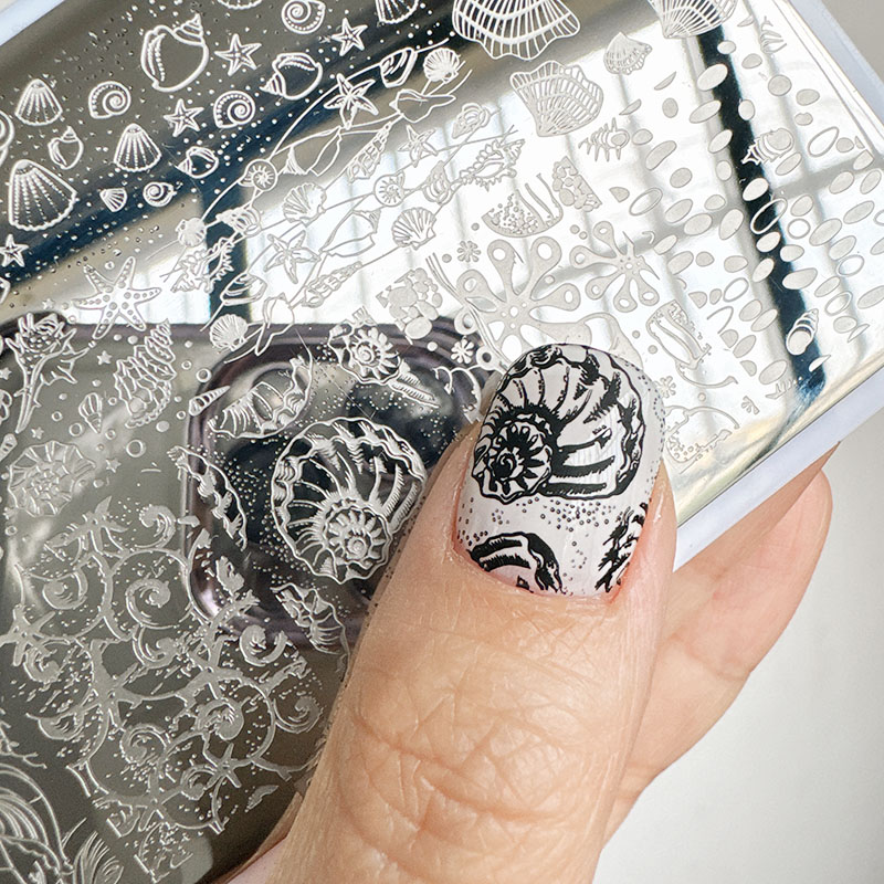 Nail Art Motif - XMQ Nail ART STAMPING PLATES OCEAN