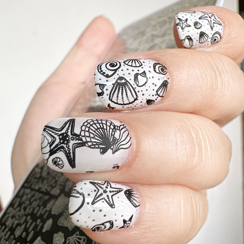 XMQ Nail ART STAMPING PLATES O - Nail Art Motif ulasan dan harga